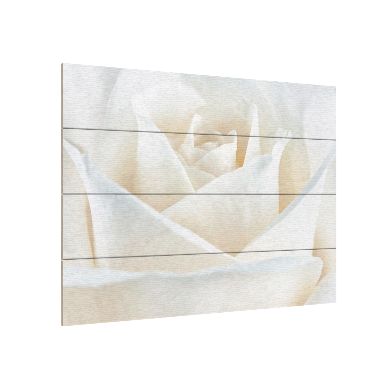 Wall Art 12 X 16 Inches Titled Pure White Rose Ready To Hang Printed On Wooden Planks
