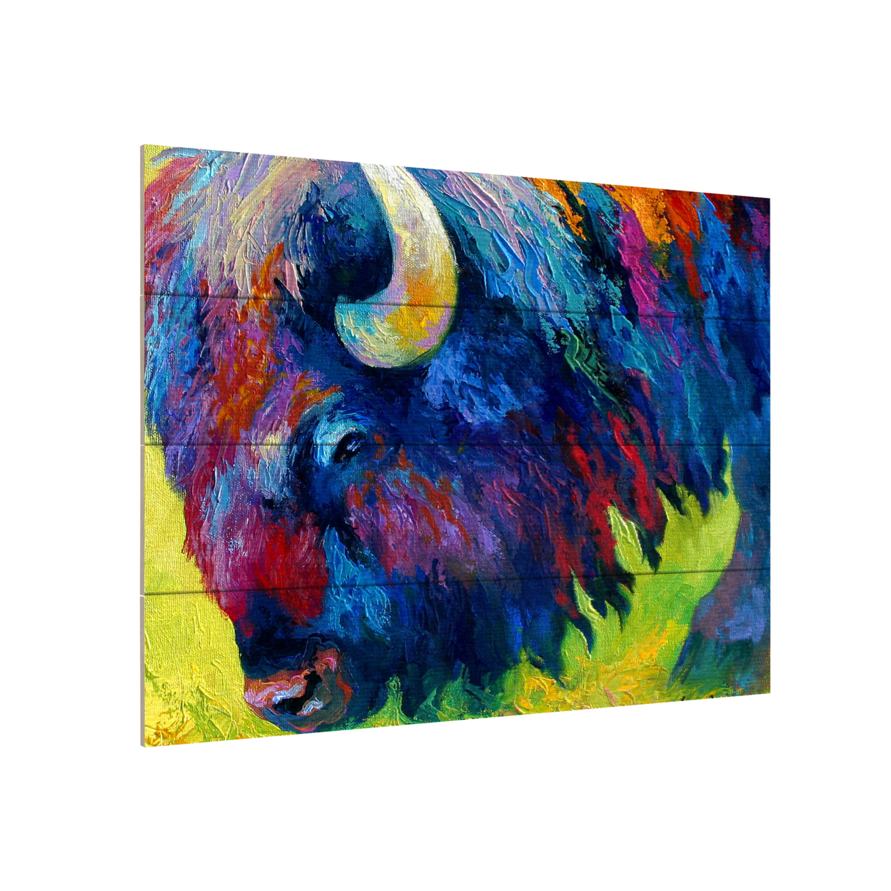 Wall Art 12 X 16 Inches Titled Bison Portrait II Ready To Hang Printed On Wooden Planks