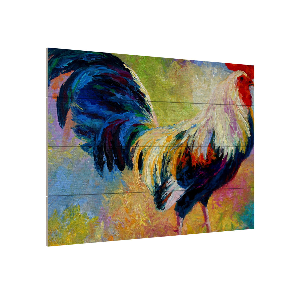 Wall Art 12 X 16 Inches Titled Eye Candy Ready To Hang Printed On Wooden Planks