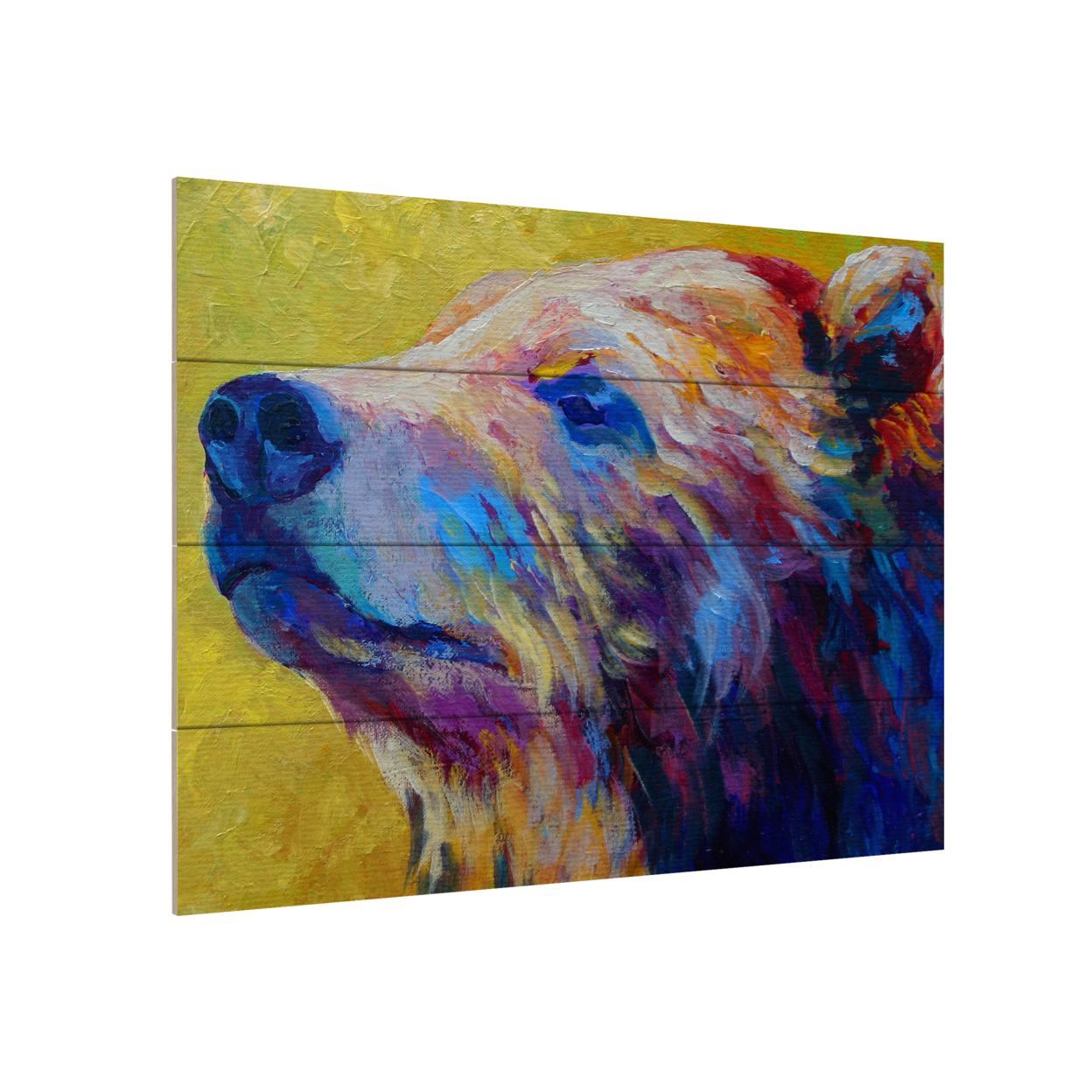 Wall Art 12 X 16 Inches Titled Pretty Boy Grizz Ready To Hang Printed On Wooden Planks