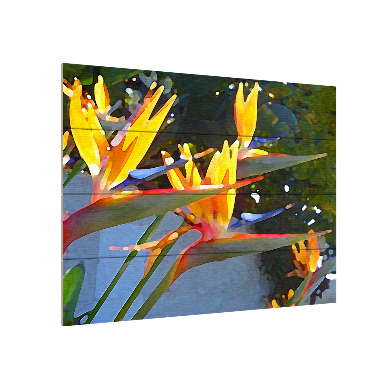 Wall Art 12 X 16 Inches Titled Bird Of Paradise Backlit By Sun Ready To Hang Printed On Wooden Planks
