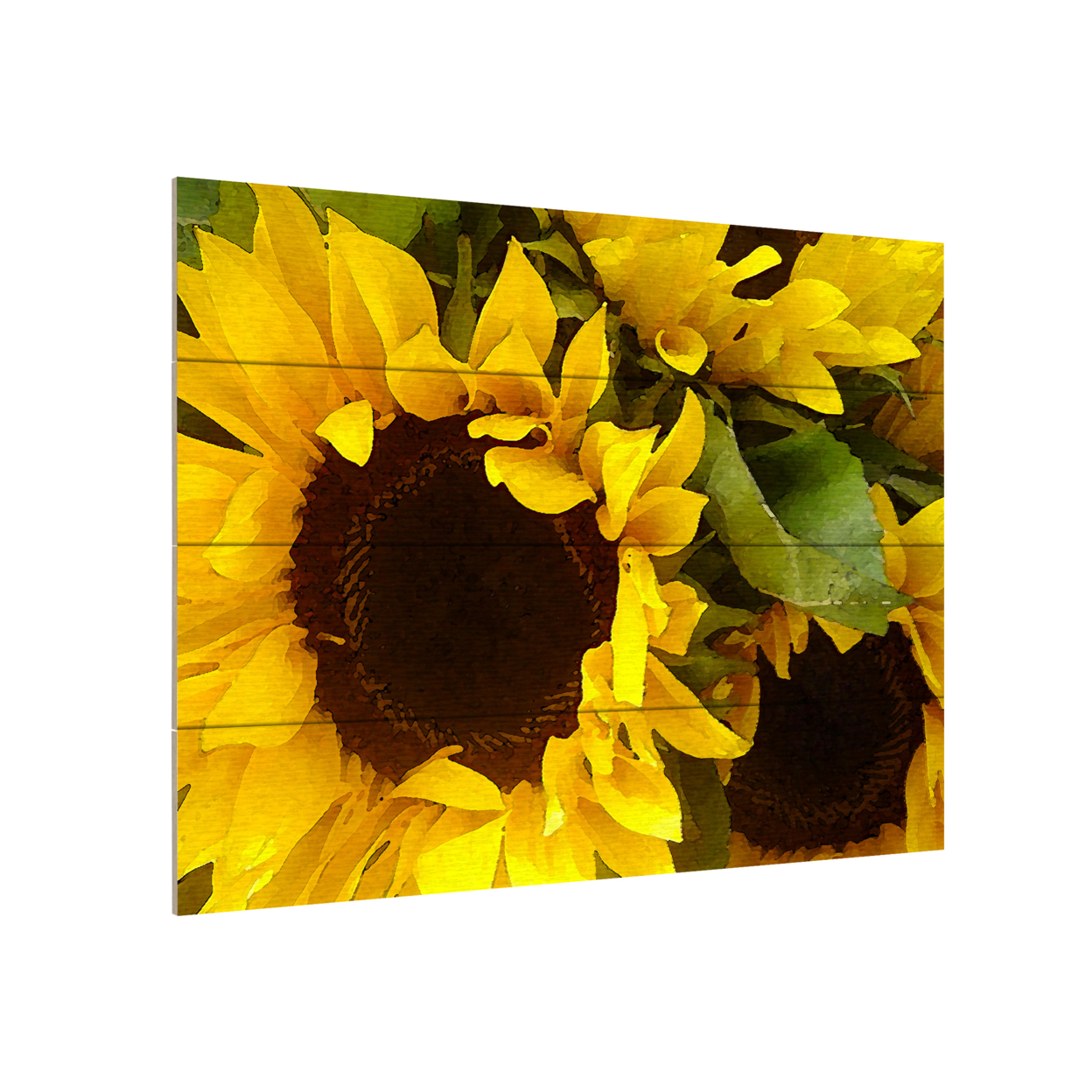 Wall Art 12 X 16 Inches Titled Sunflowers Ready To Hang Printed On Wooden Planks