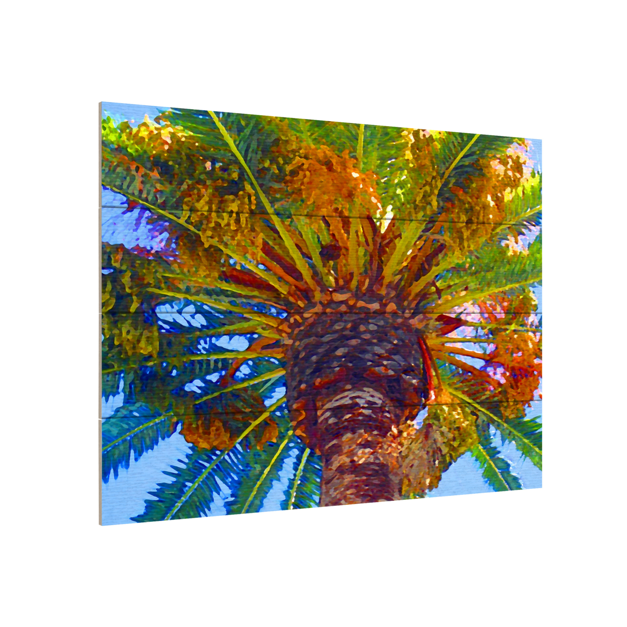 Wall Art 12 X 16 Inches Titled Palm Tree Looking Up Ready To Hang Printed On Wooden Planks