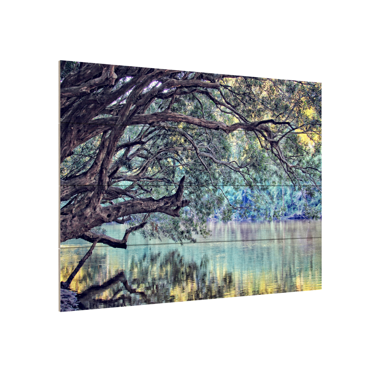Wall Art 12 X 16 Inches Titled A Place To Dream Ready To Hang Printed On Wooden Planks