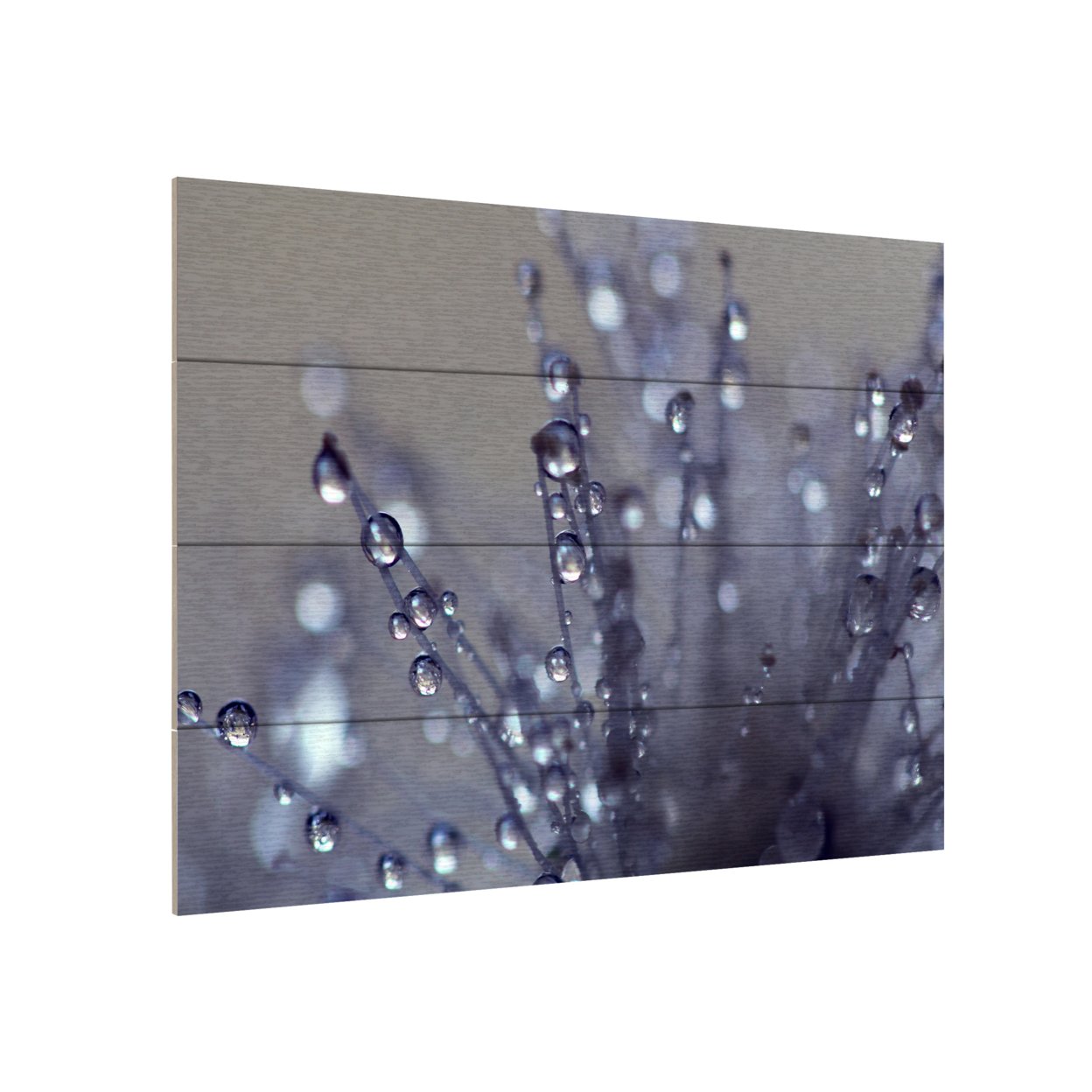 Wall Art 12 X 16 Inches Titled Evening Jewels Ready To Hang Printed On Wooden Planks