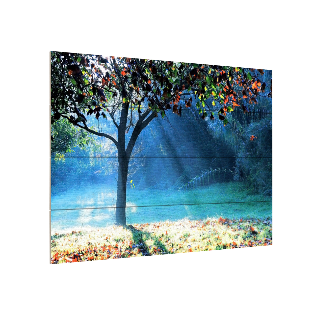 Wall Art 12 X 16 Inches Titled Rays Of Hope Ready To Hang Printed On Wooden Planks