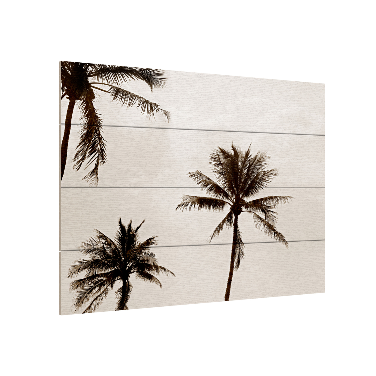 Wall Art 12 X 16 Inches Titled Black & White Palms Ready To Hang Printed On Wooden Planks