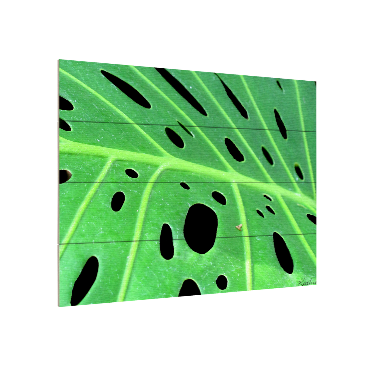 Wall Art 12 X 16 Inches Titled Tropical Leaf Ready To Hang Printed On Wooden Planks