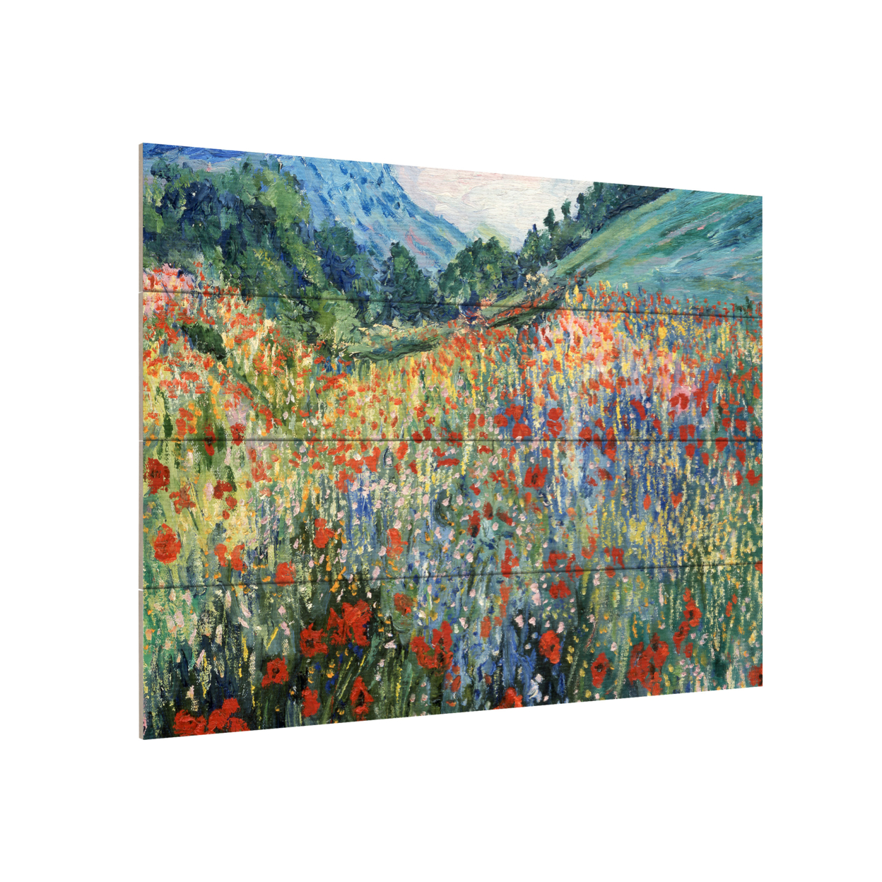 Wall Art 12 X 16 Inches Titled Field Of Wild Flowers Ready To Hang Printed On Wooden Planks