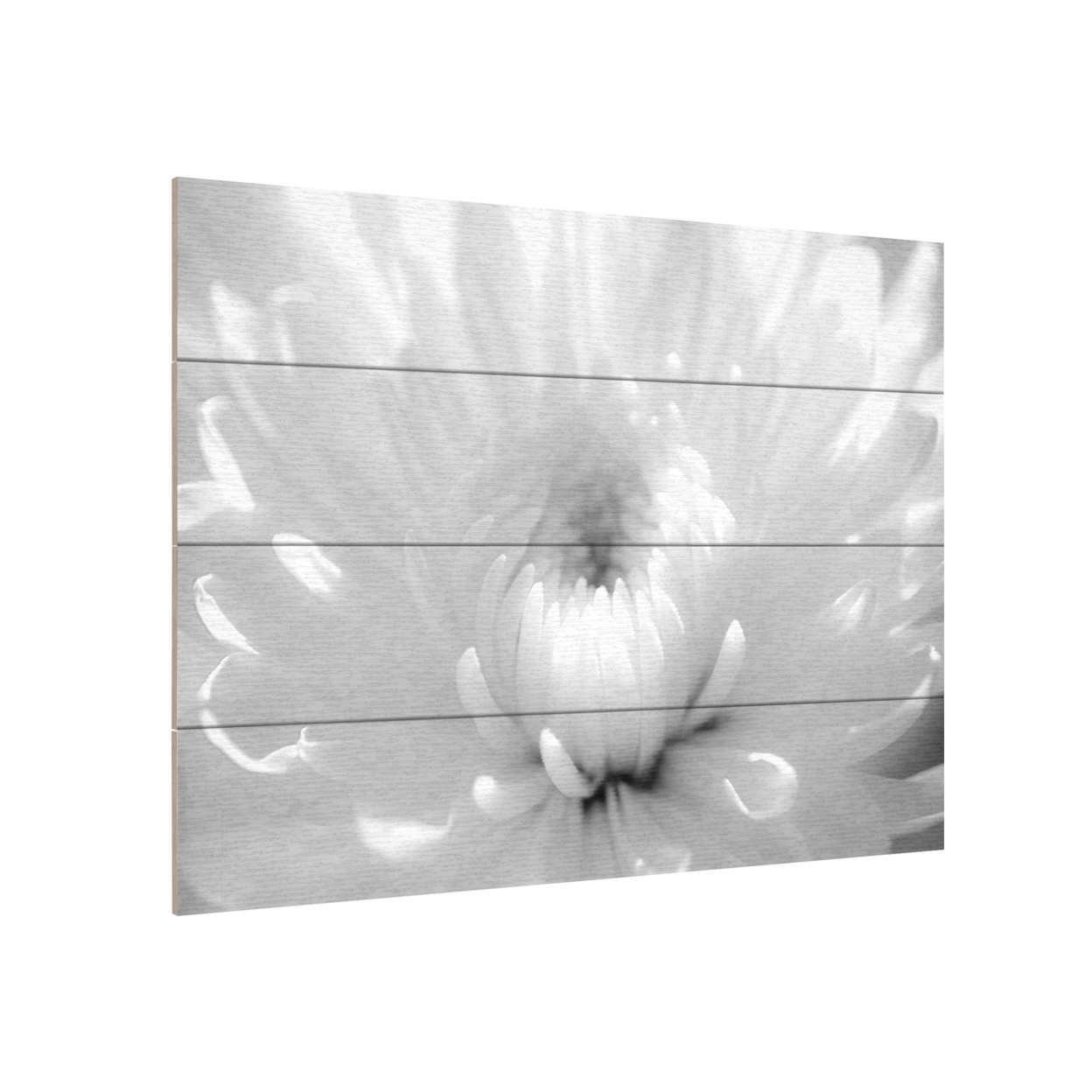 Wall Art 12 X 16 Inches Titled Infrared Flower 2 Ready To Hang Printed On Wooden Planks