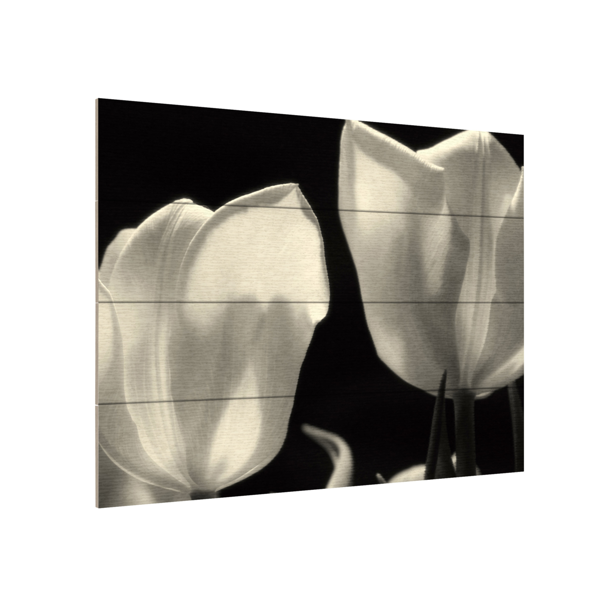 Wall Art 12 X 16 Inches Titled Tulips Ready To Hang Printed On Wooden Planks
