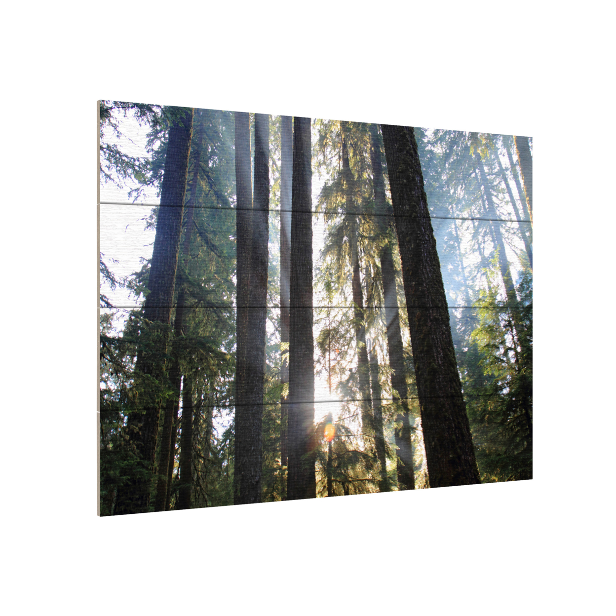 Wall Art 12 X 16 Inches Titled Sunrays Ready To Hang Printed On Wooden Planks