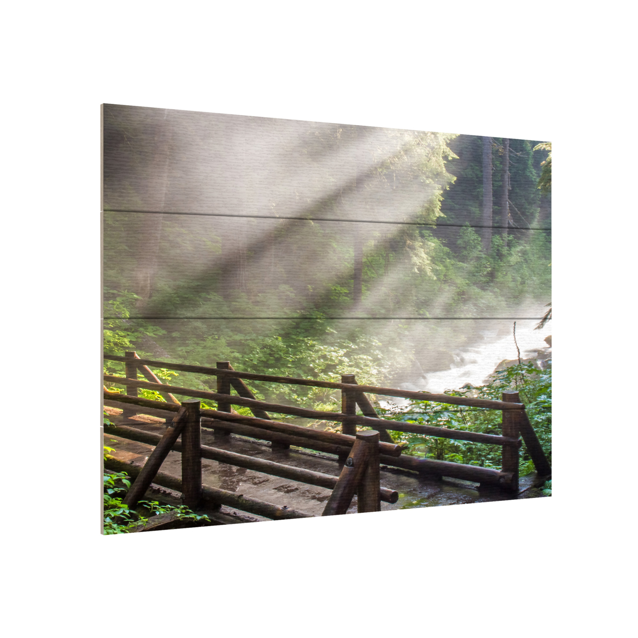 Wall Art 12 X 16 Inches Titled Forest Sunlight Ready To Hang Printed On Wooden Planks