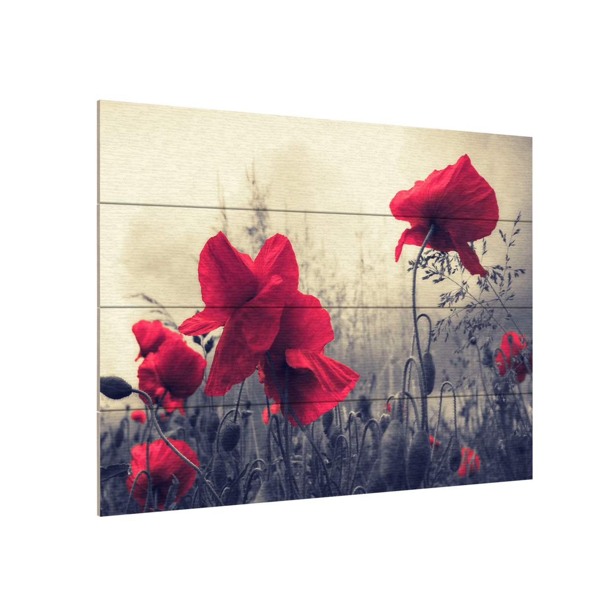 Wall Art 12 X 16 Inches Titled Red For Love Ready To Hang Printed On Wooden Planks