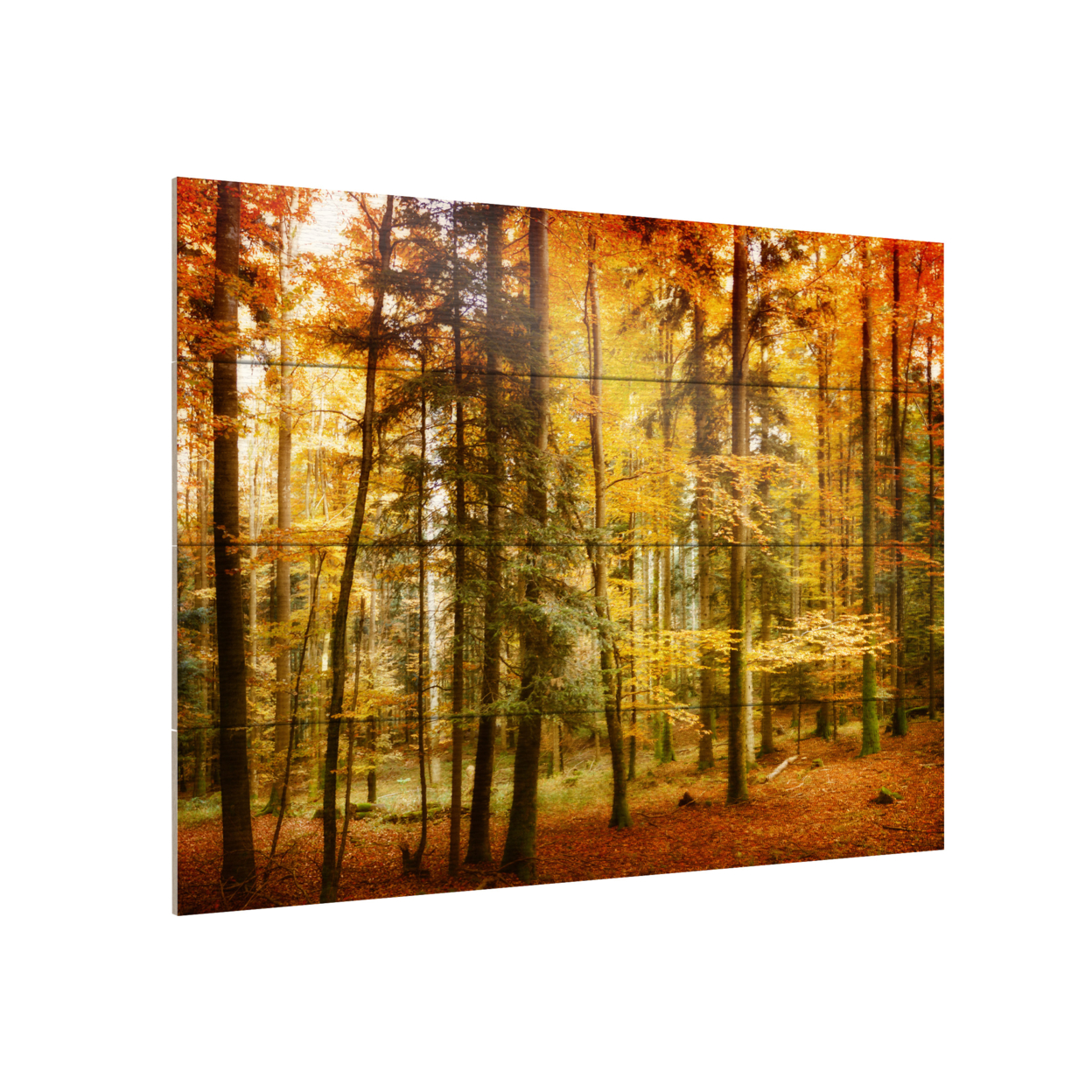 Wall Art 12 X 16 Inches Titled Brilliant Fall Color Ready To Hang Printed On Wooden Planks
