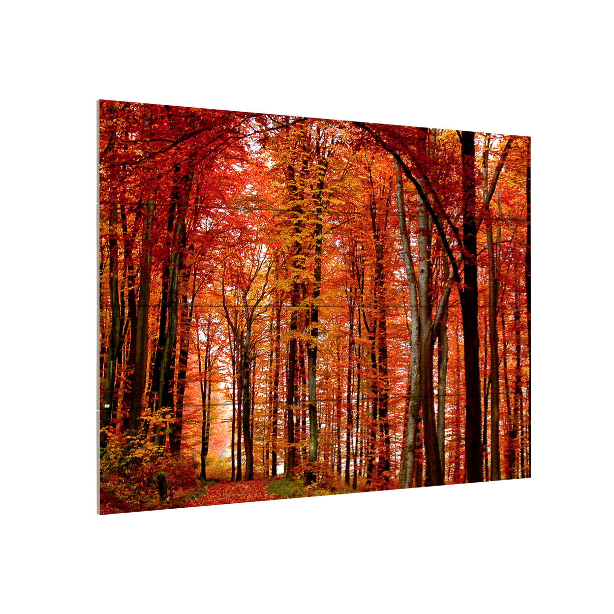 Wall Art 12 X 16 Inches Titled The Red Way Ready To Hang Printed On Wooden Planks