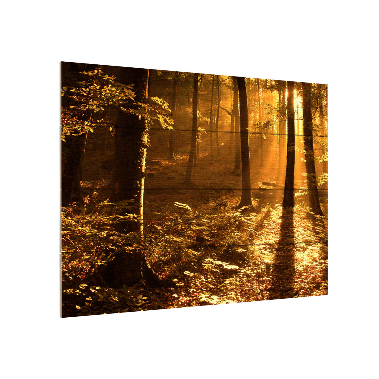 Wall Art 12 X 16 Inches Titled Morning Light Ready To Hang Printed On Wooden Planks