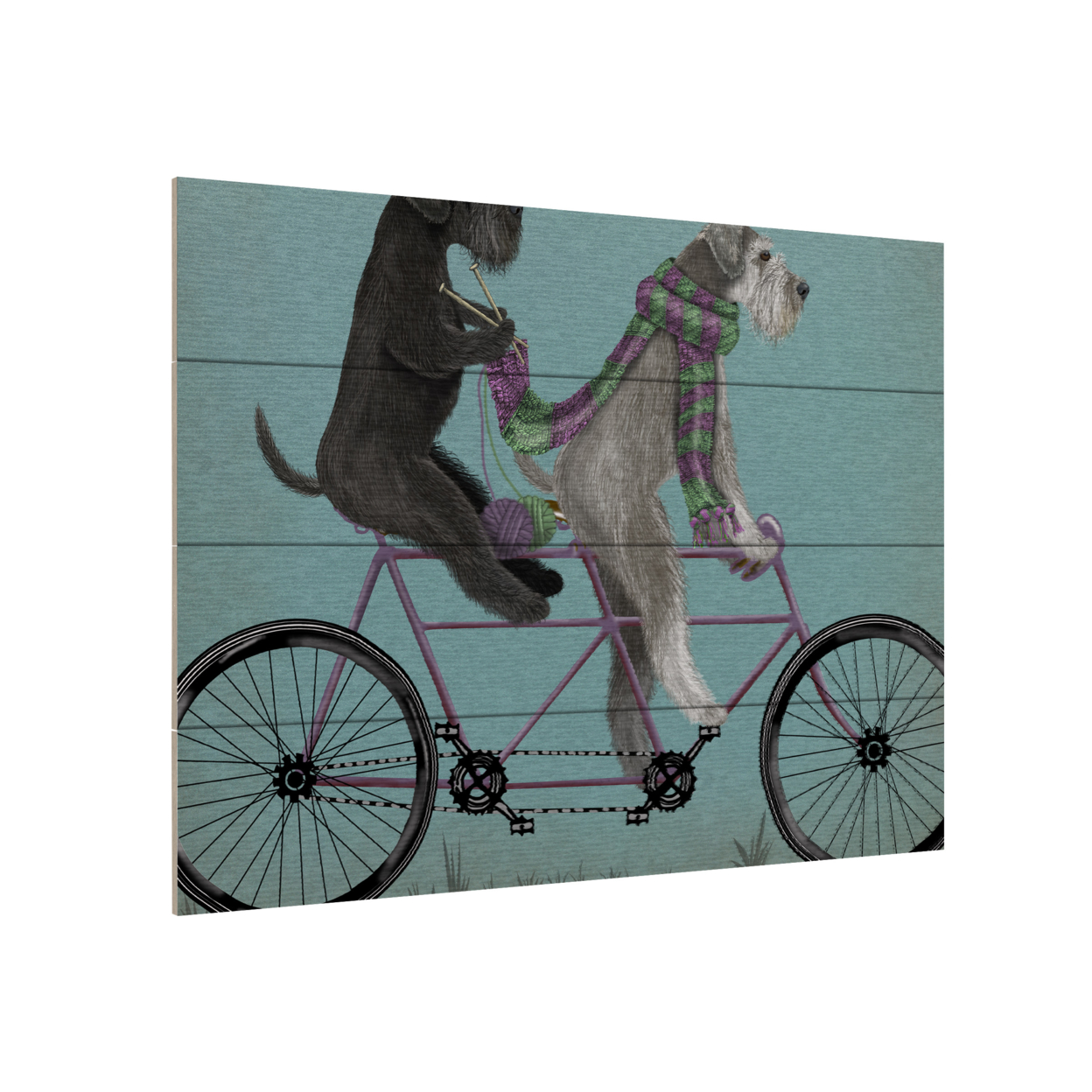 Wall Art 12 X 16 Inches Titled Schnauzer Tandem Ready To Hang Printed On Wooden Planks