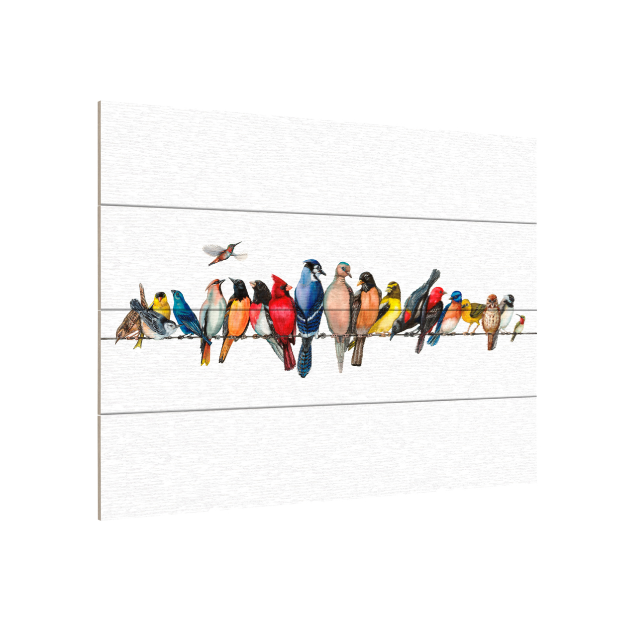 Wall Art 12 X 16 Inches Titled Large Bird Menagerie Ii Ready To Hang Printed On Wooden Planks