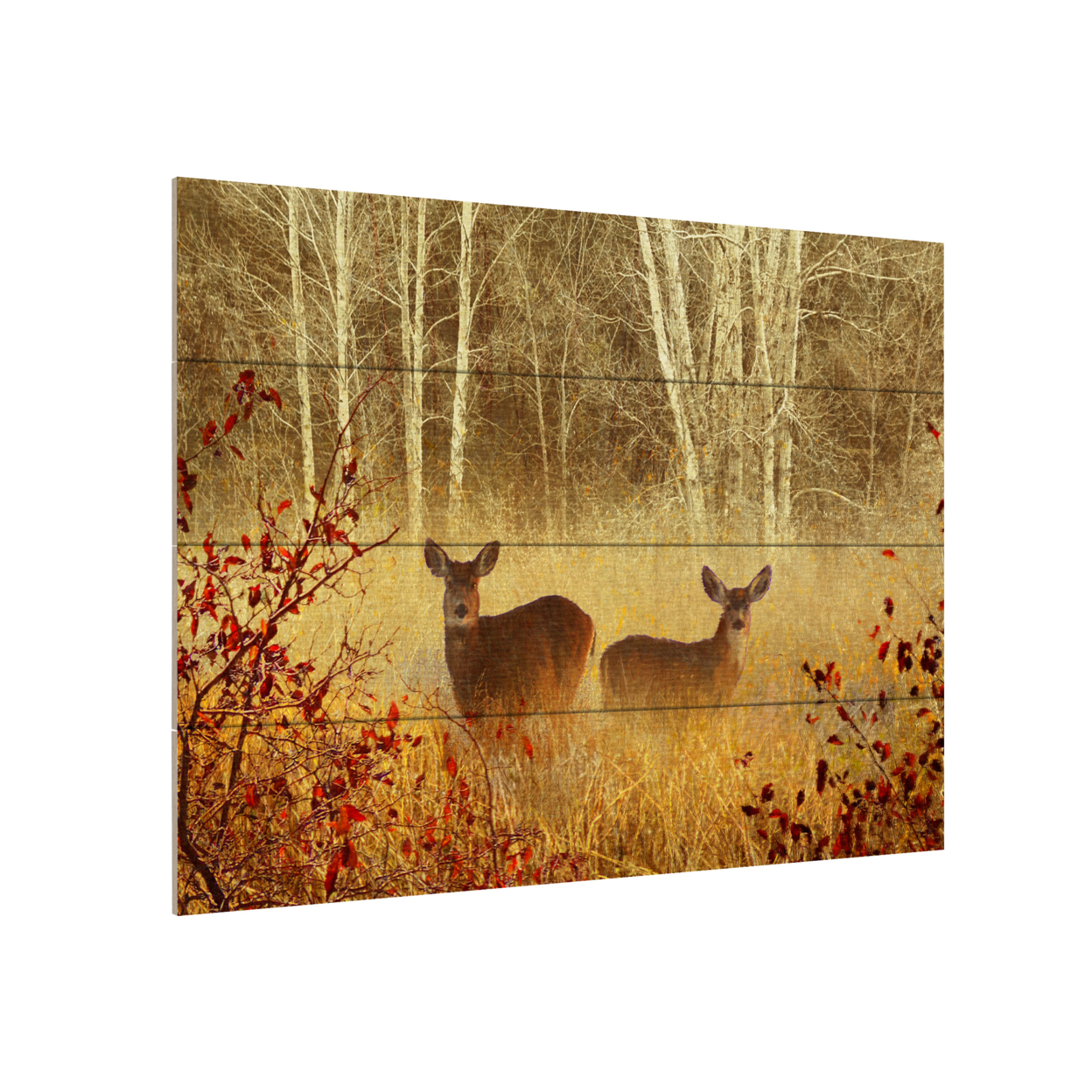 Wall Art 12 X 16 Inches Titled Foggy Deer Ready To Hang Printed On Wooden Planks