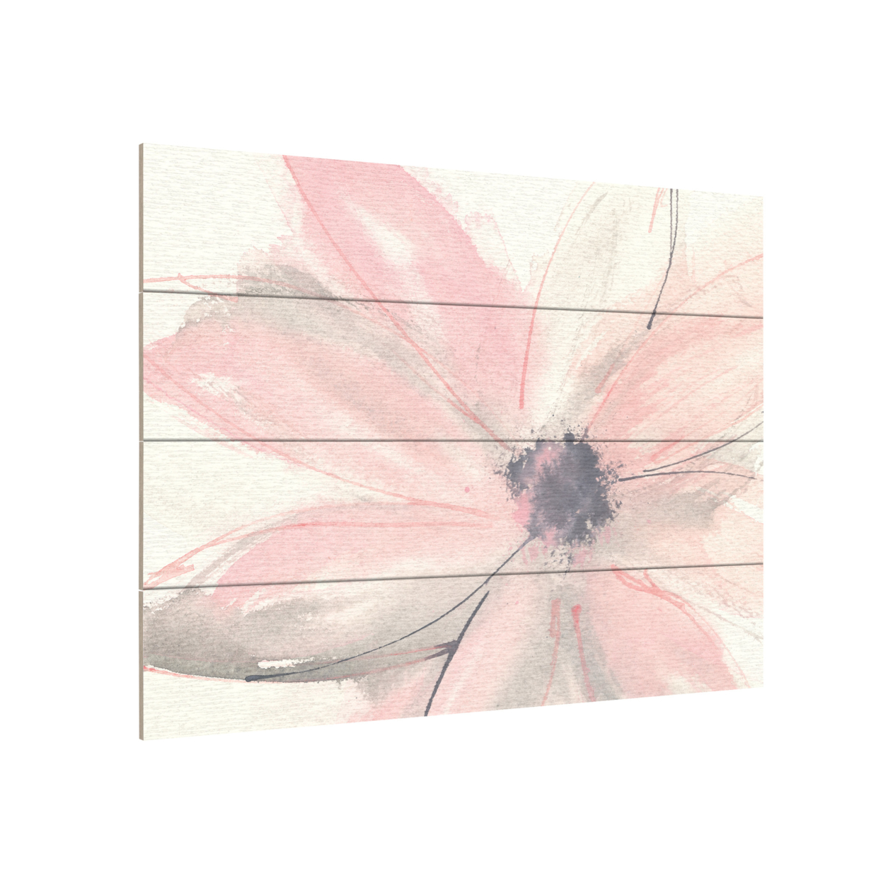 Wall Art 12 X 16 Inches Titled Blush Clematis I Ready To Hang Printed On Wooden Planks