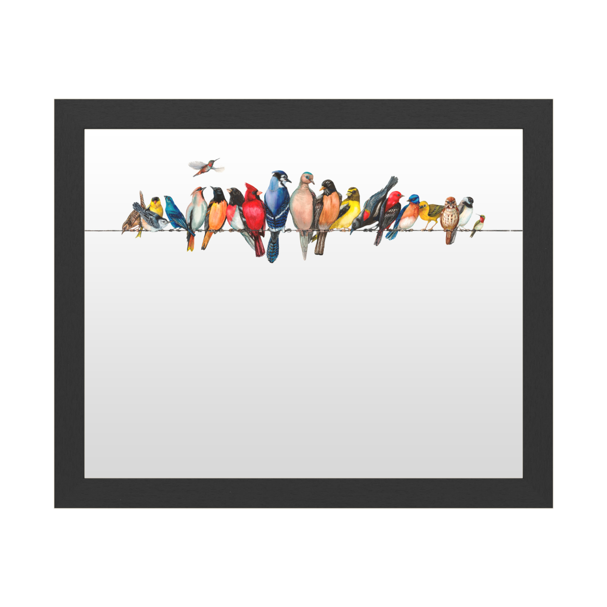 Dry Erase 16 X 20 Marker Board With Printed Artwork - Wendy Russell Large Bird Menagerie Ii White Board - Ready To Hang
