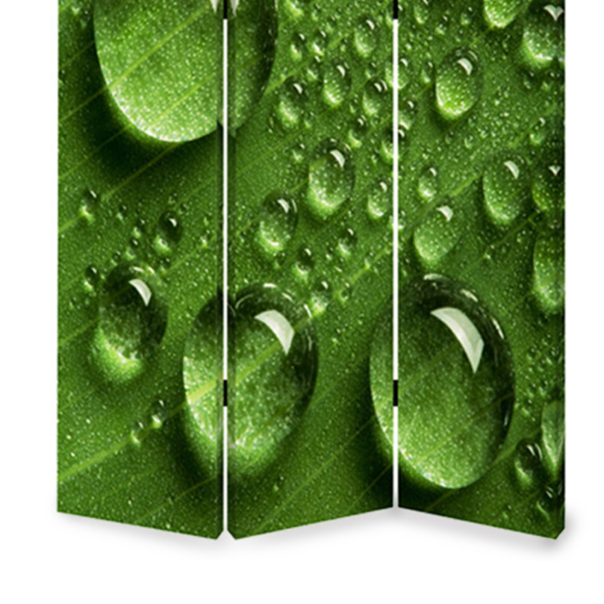 Morning Dew Print Foldable Canvas Screen With 3 Panels, Green- Saltoro Sherpi
