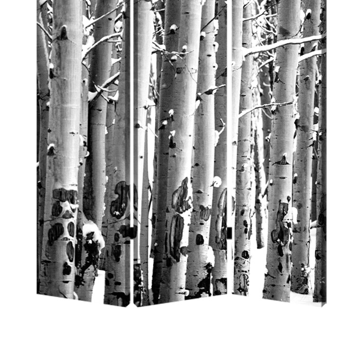 3 Panel Canvas Foldable Screen With Birch Print, Black And White- Saltoro Sherpi