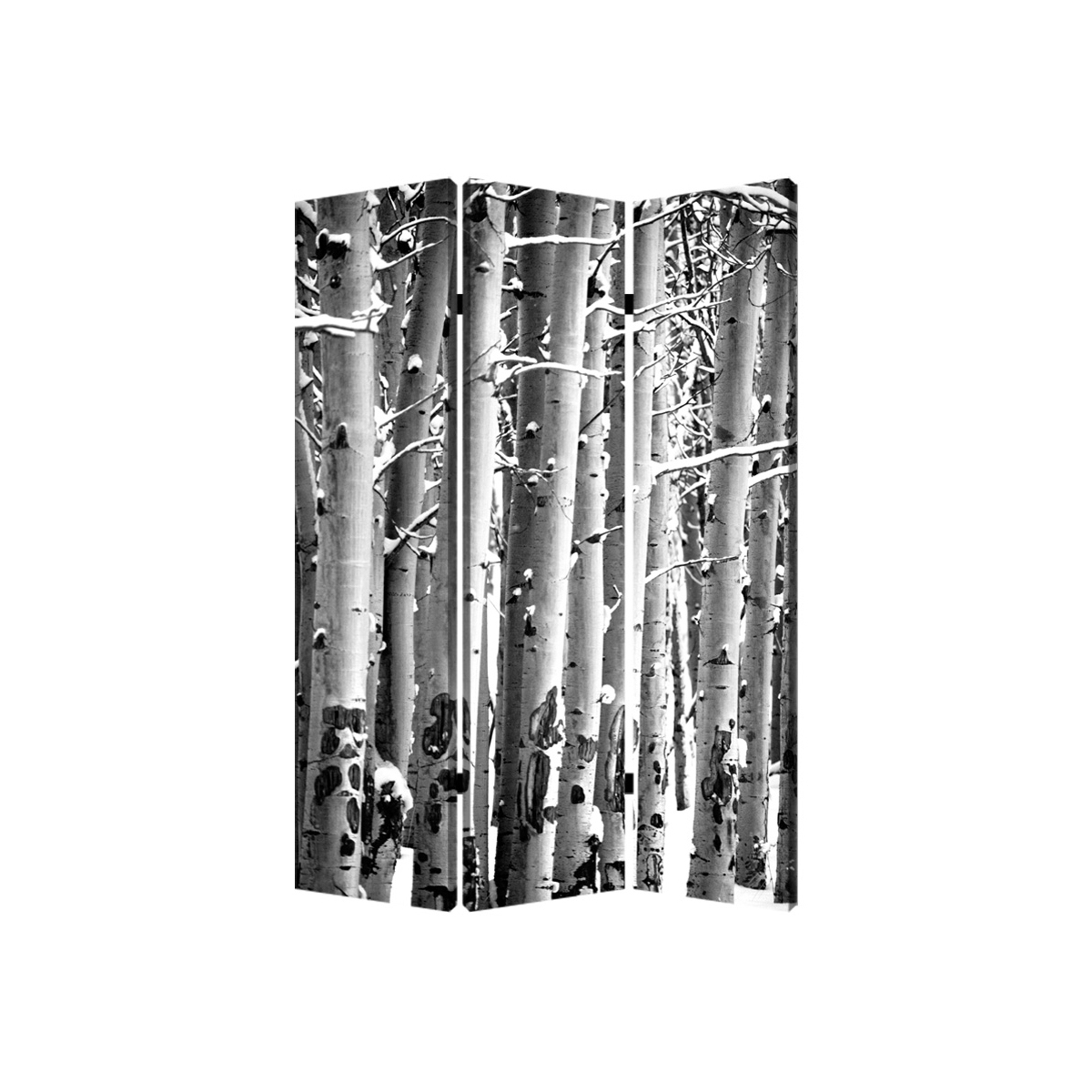 3 Panel Canvas Foldable Screen With Birch Print, Black And White- Saltoro Sherpi