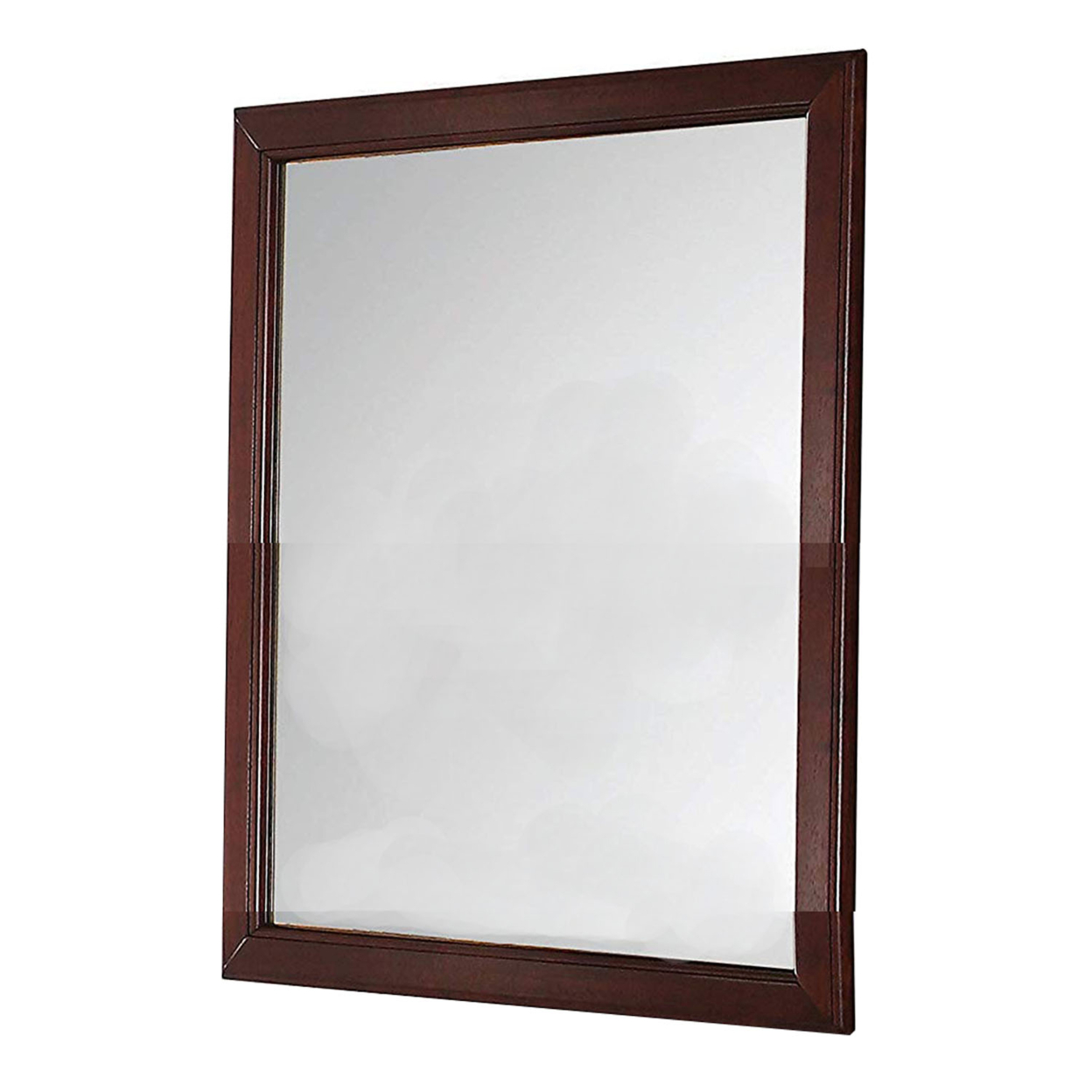 Transitional Style Mirror With Raised Wooden Frame, Brown And Silver- Saltoro Sherpi