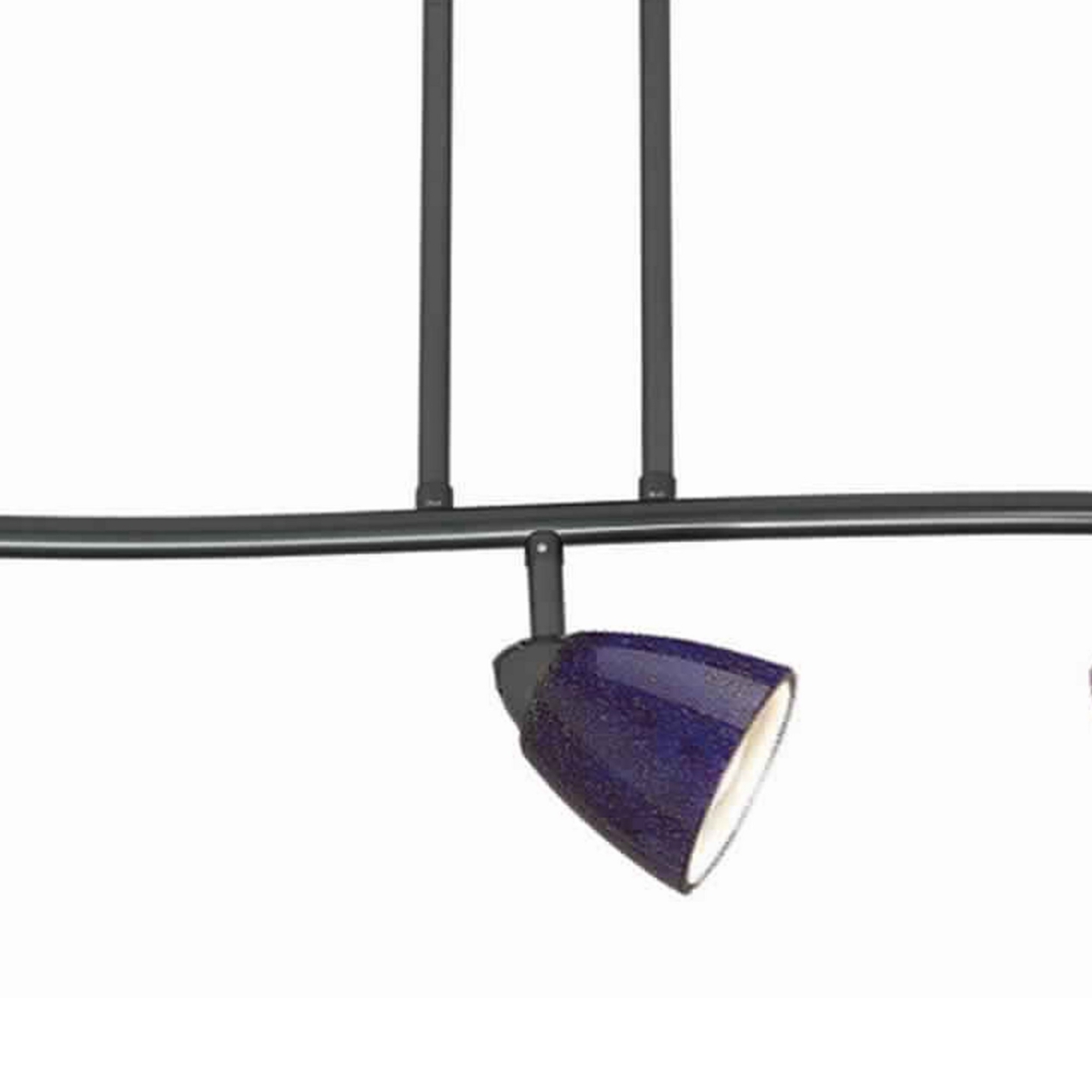 5 Light 120V Metal Track Light Fixture With Glass Shade, Black And Blue- Saltoro Sherpi