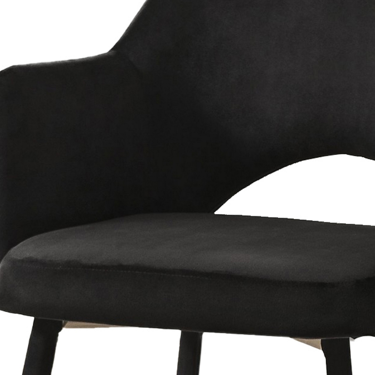 Velvet Padded Accent Chair With Open Back And Angled Legs, Black And Gold- Saltoro Sherpi