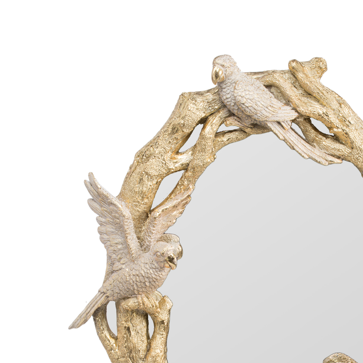 Polyresin Encased Mirror With Bird Accent, Gold- Saltoro Sherpi