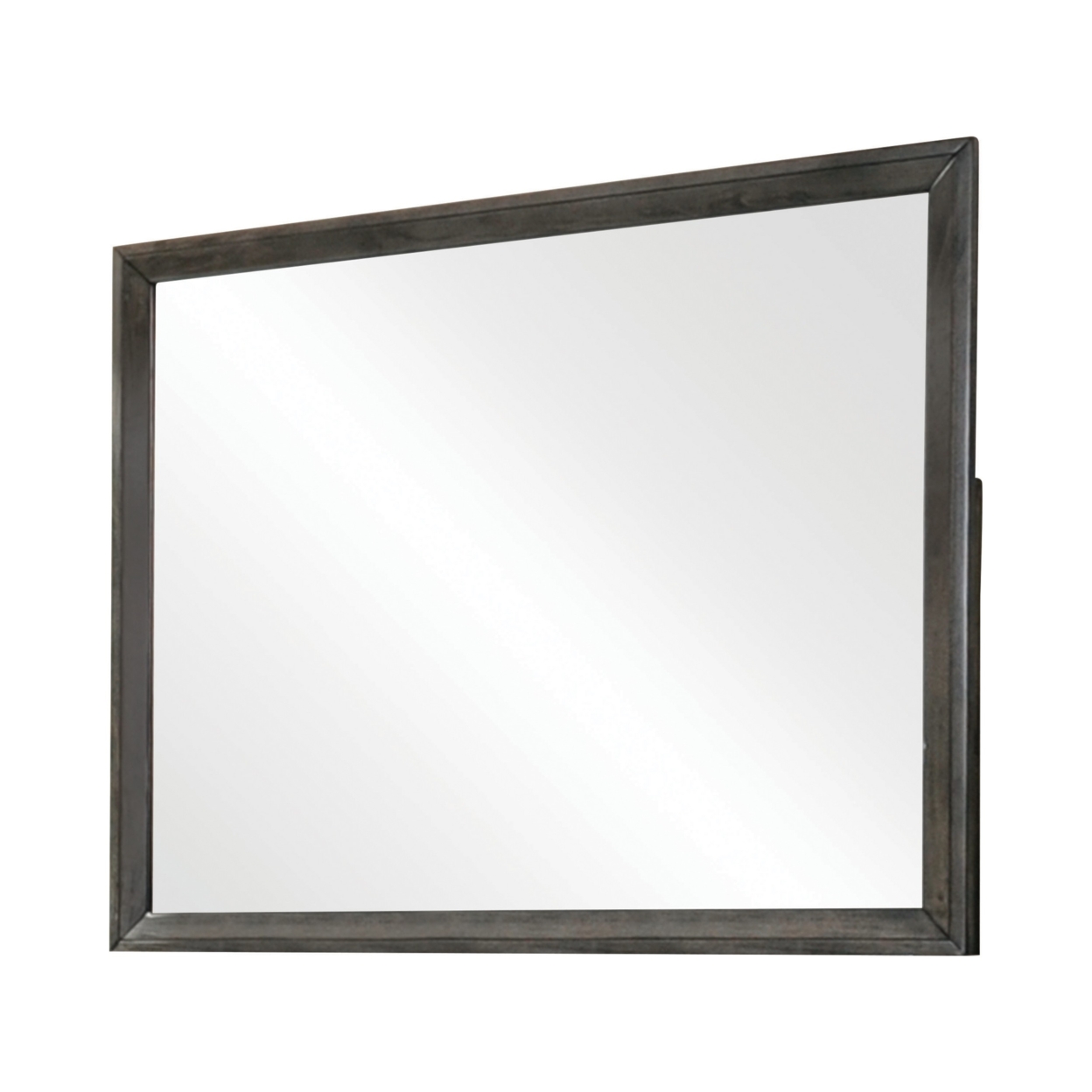 45 Inch Transitional Rectangular Wood Frame Mirror, Dark Gray- Saltoro Sherpi