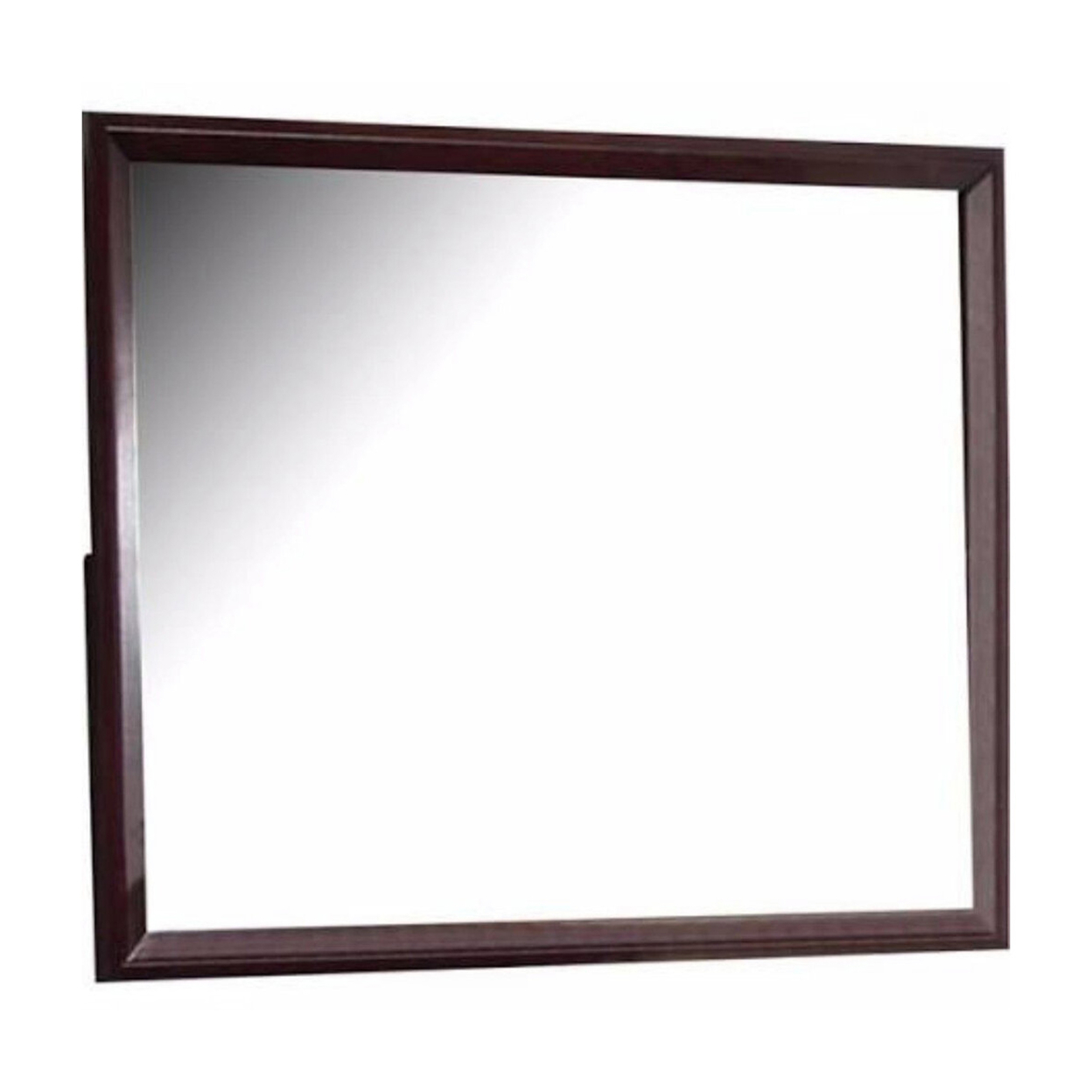 45 Inch Rectangular Wood Frame Mirror, Dark Brown- Saltoro Sherpi