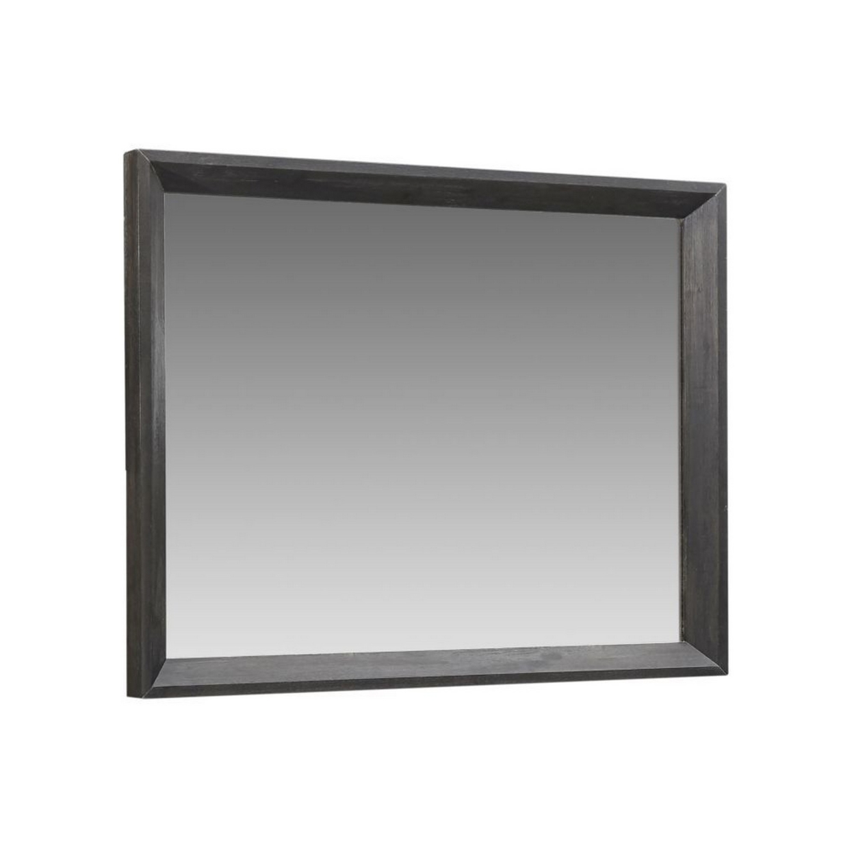 48 Inch Rectangular Wooden Frame Beveled Mirror, Gray- Saltoro Sherpi