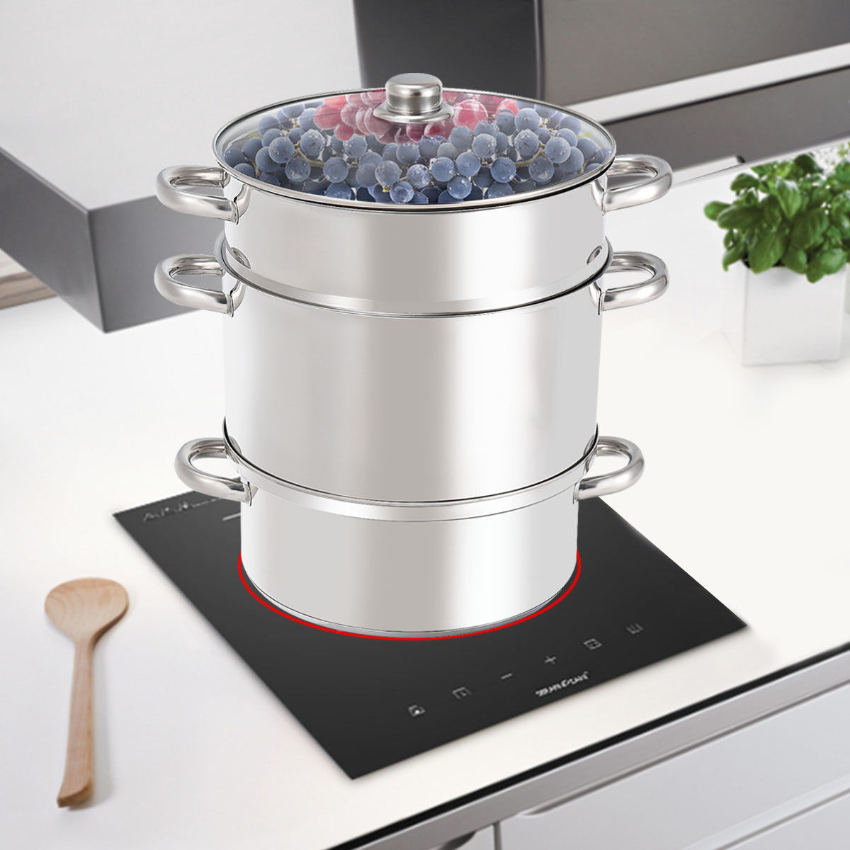 11-Quart Stainless Steel Fruit Juicer Steamer Stove Top W/ Tempered Glass Lid