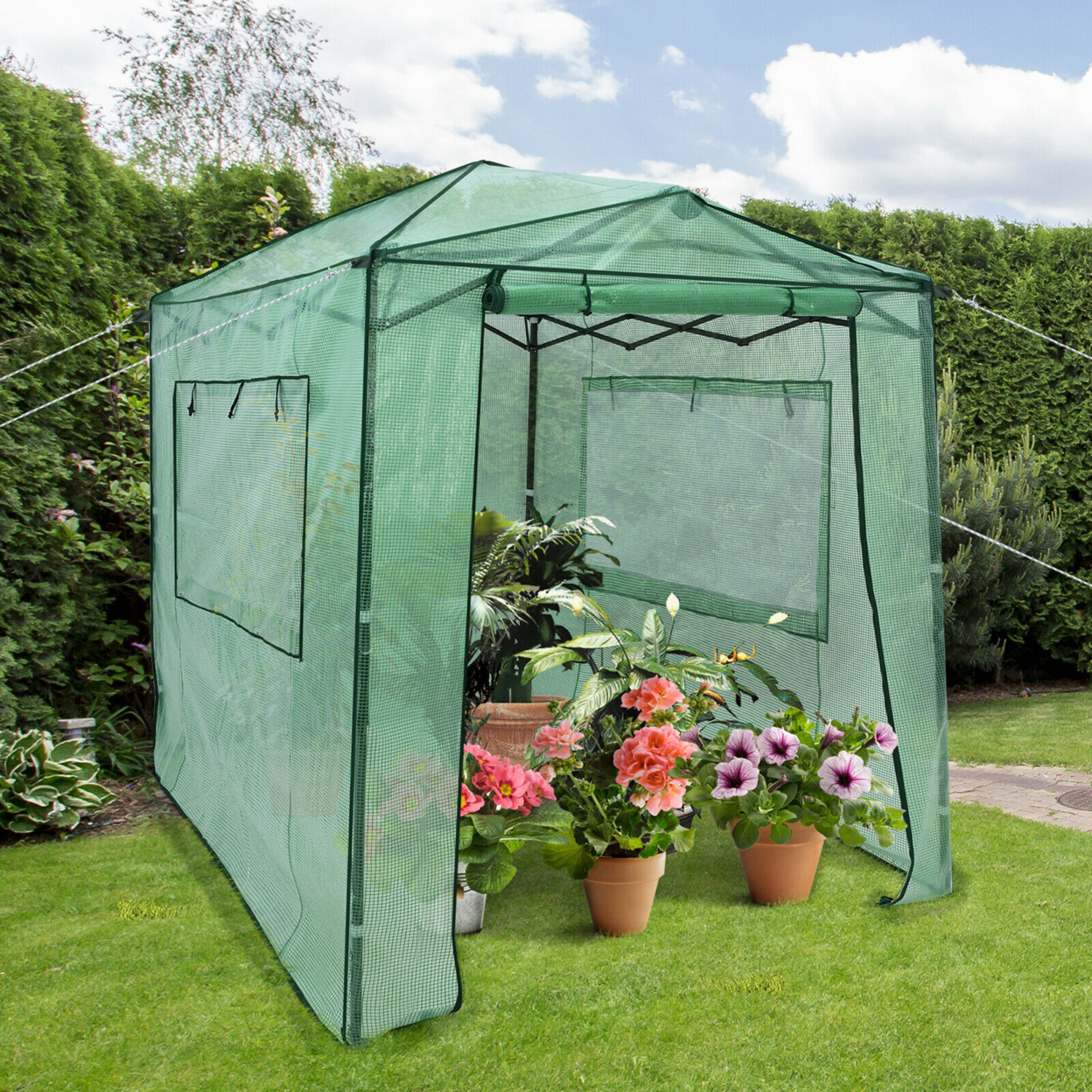 6'x 8' Portable Walk-in Greenhouse Pop-up Folding Plant Gardening W/ Window