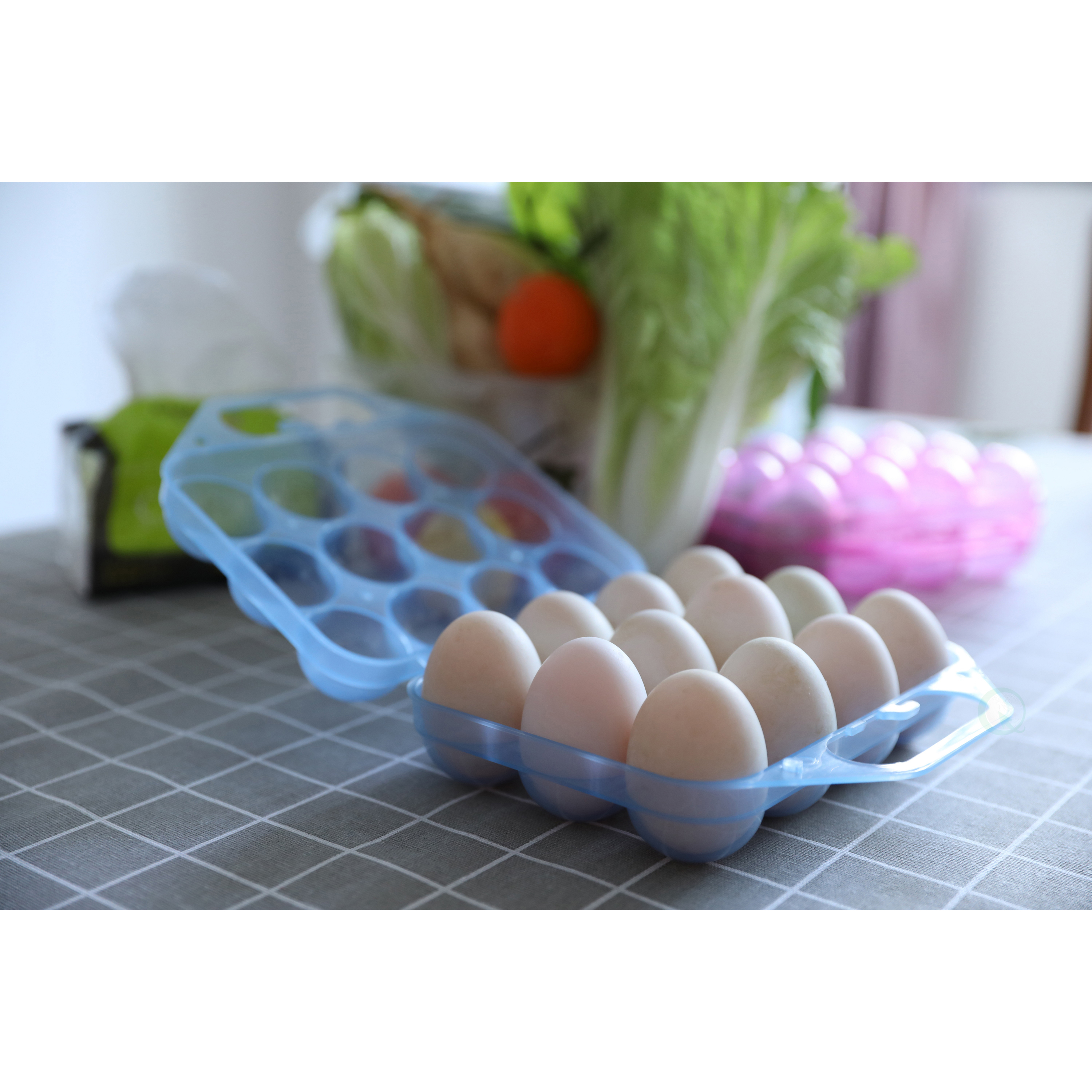 Clear Plastic Egg Carton-12 Egg Holder Carrying Case With Handle - Blue