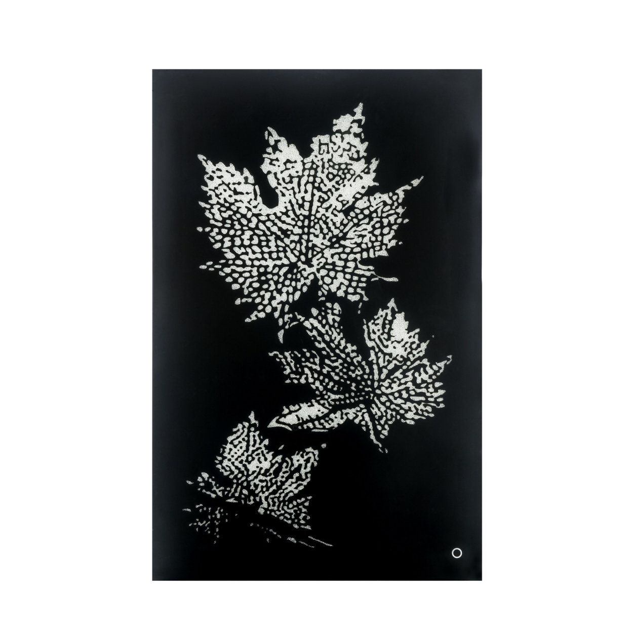 Rectangular Floral Wall Art With LED, Black And Silver- Saltoro Sherpi