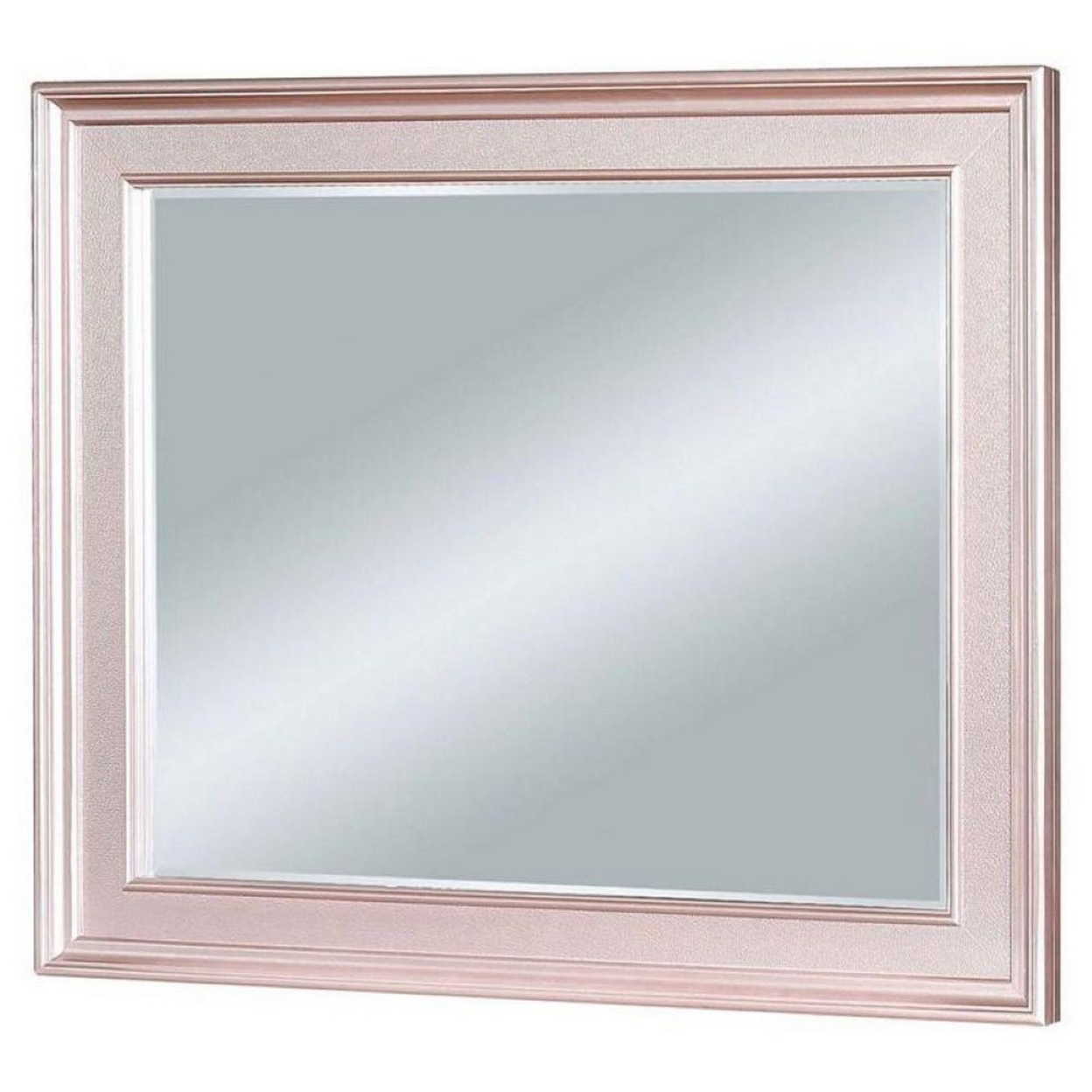 64 Inch Contemporary Style Wooden Frame Mirror, Rose Pink- Saltoro Sherpi
