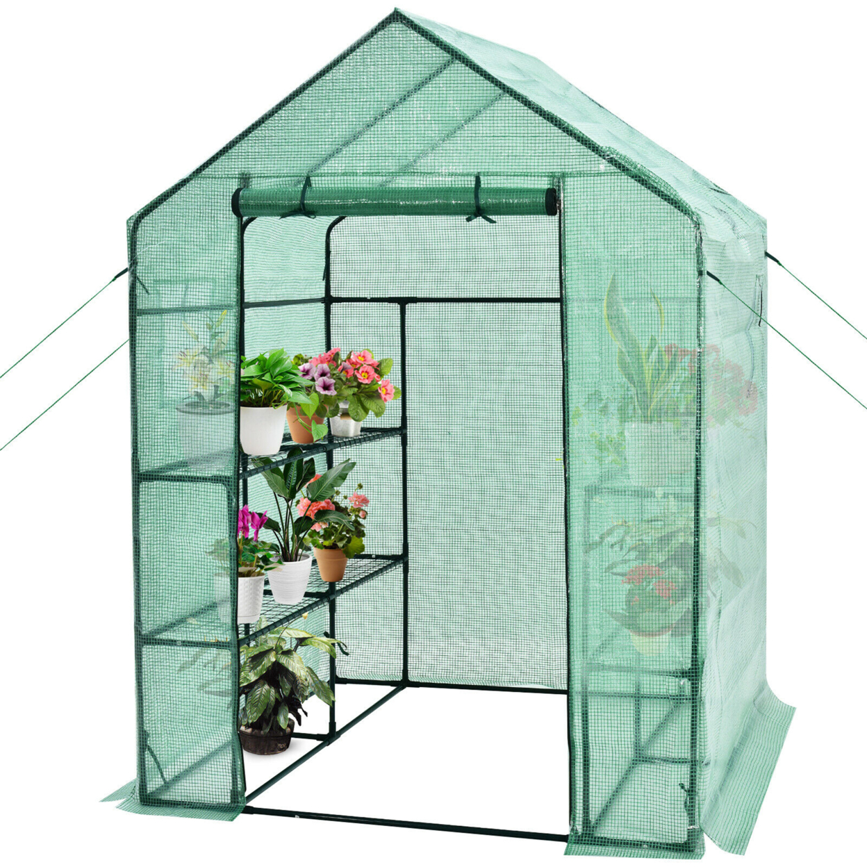 Walk-in Greenhouse 56''x56''x77'' Gardening W/Observation Windows 2 Tier 8 Shelves