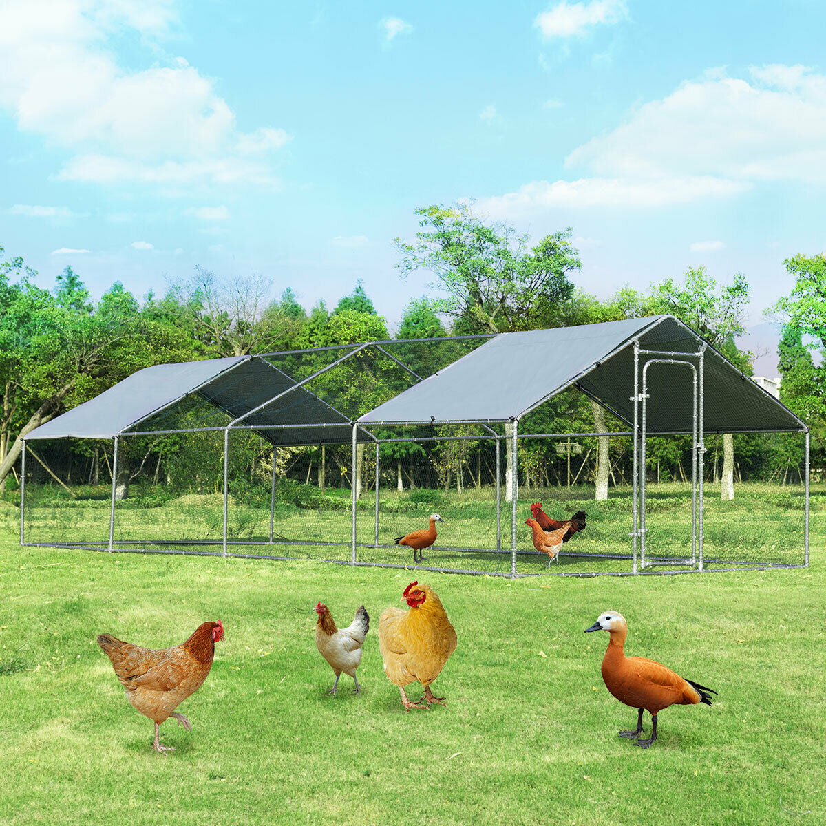 Walk In Chicken Coop Run House Shade Cage 10' X 26' W/Roof Cover