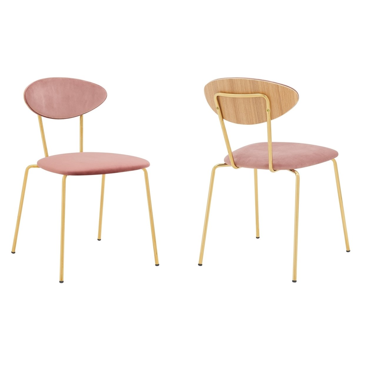 Neo Modern Pink Velvet And Gold Metal Leg Dining Room Chairs - Set Of 2- Saltoro Sherpi