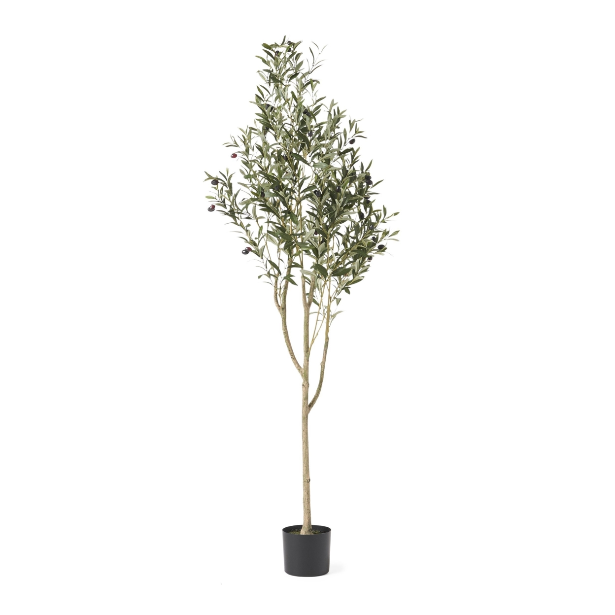 Taos Artificial Tabletop Olive Tree, Green - 6' X 2'