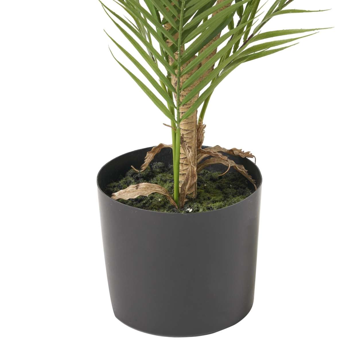Troup Artificial Tabletop Palm Tree, Green - 4' X 2.5'