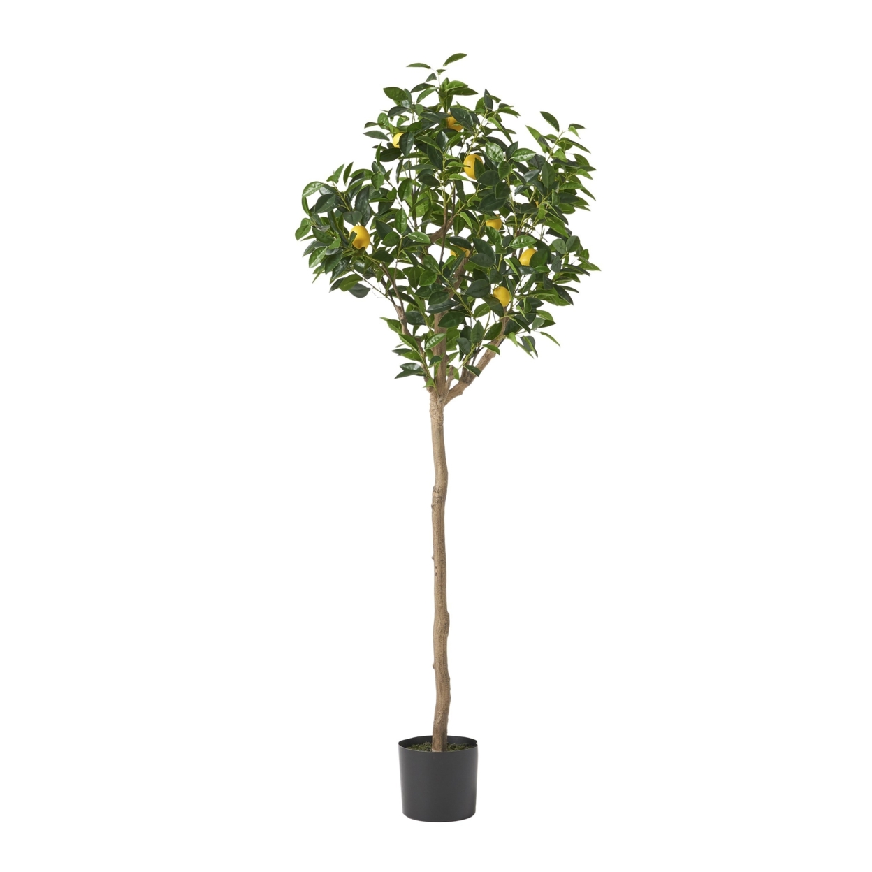 Wallowa Artificial Tabletop Lemon Tree, Green - 4' X 2.5'