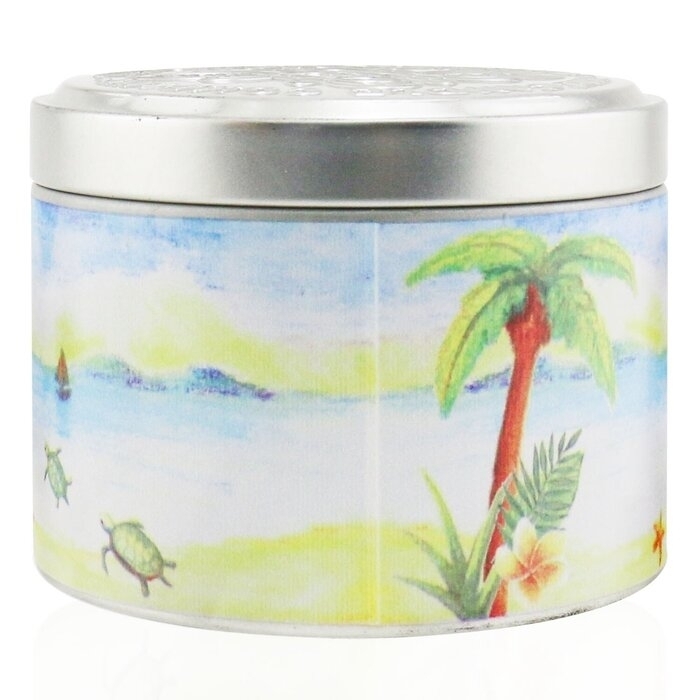 The Candle Company (Carroll & Chan) - 100% Beeswax Tin Candle - Green Seas((8x6) Cm)