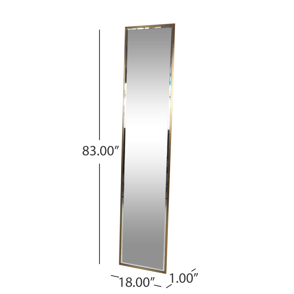 Lyanna Contemporary Rectangular Leaner Mirror