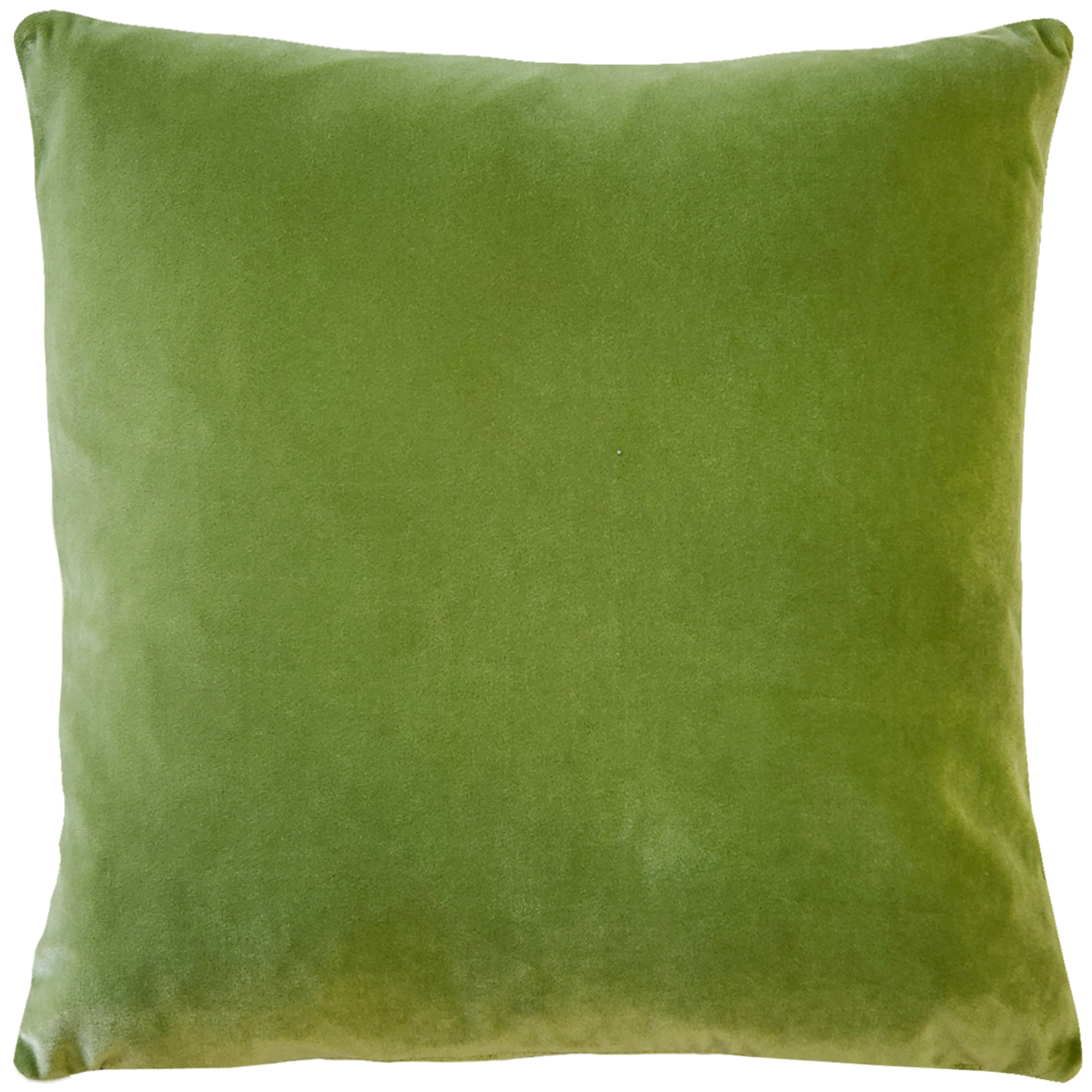 Castello Velvet Throw Pillows, Complete Pillow with Polyfill Pillow Insert (18 Colors, 3 Sizes) - summer green, 20x20
